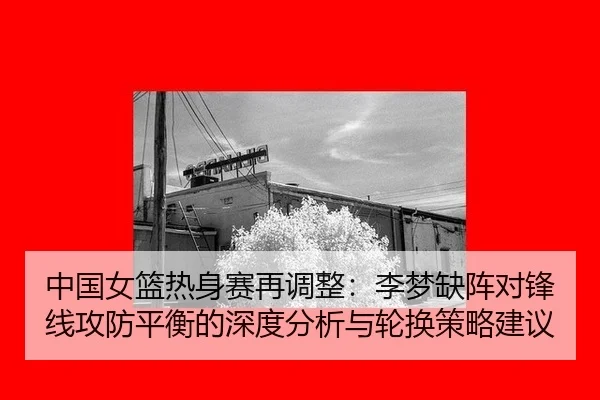 zhong-guo-nv-lan-re-shen-sai-zai-tiao-zheng-li-meng-que-zhen-dui-feng-xian-gong-fang-ping-heng-de-shen-du-fen-xi-yu-lun-2-359.jpg